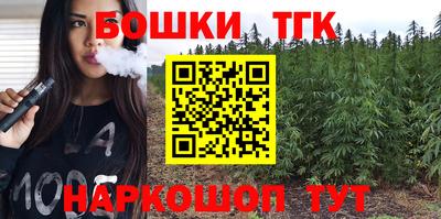 гашик Тверь