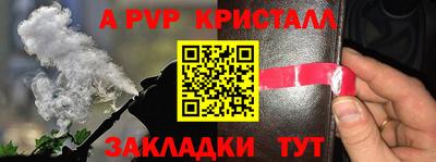 гашик Тверь