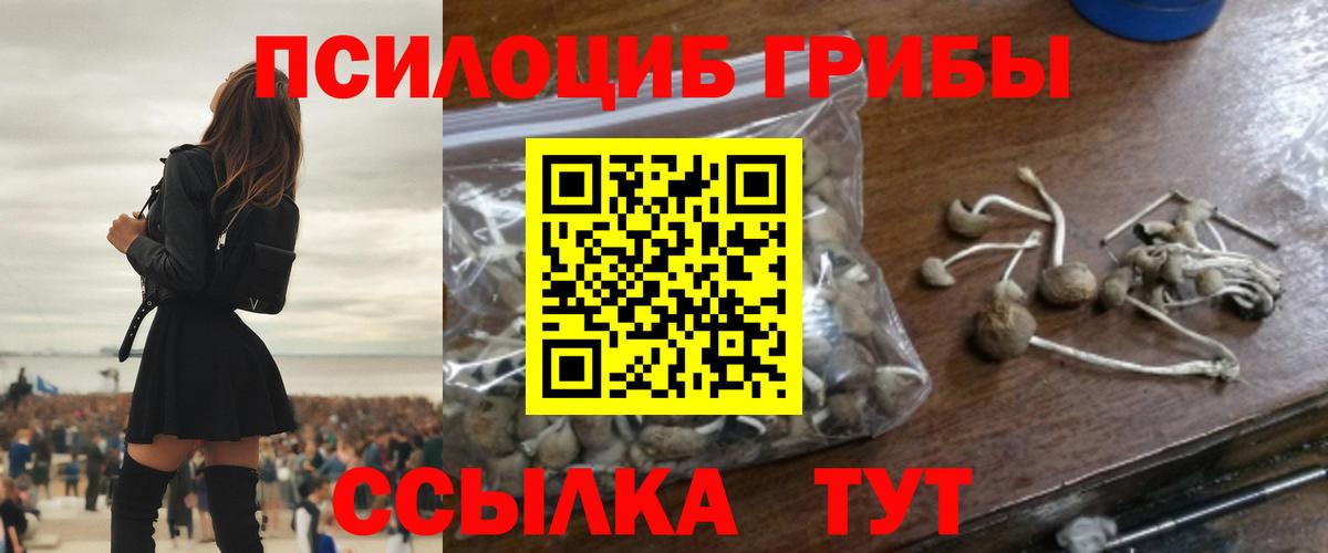 Ялуторовск  Галлюциногенные грибы мицелий  Вход с VPN  Галлюциногенные грибы Psilocybe 